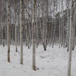 Tu manai sirdij pieskaries, Un mani uzrunā.