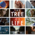 tree_of_life_poster_header1-650x293.png.scaled1000